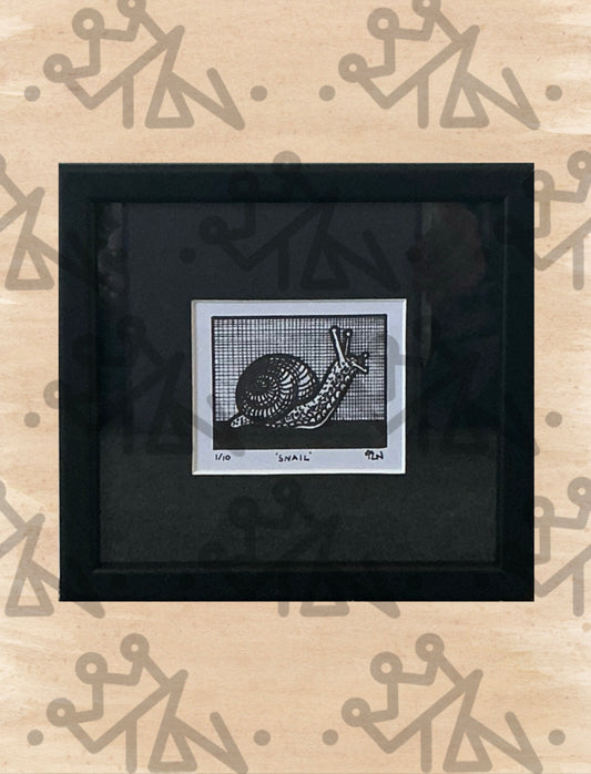“Snail” Framed Limited Edition Print